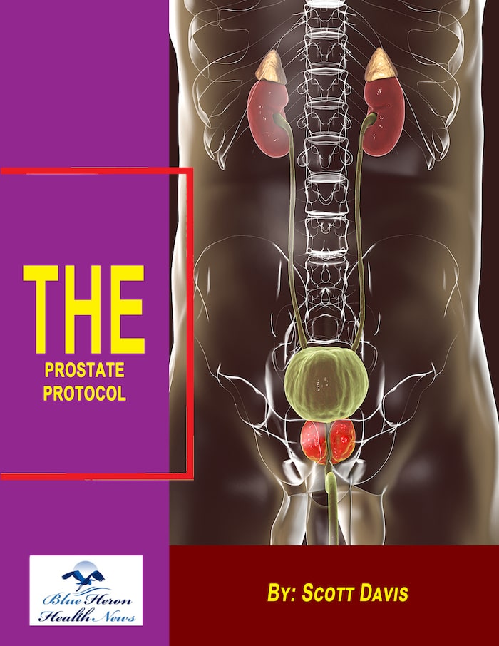 Prostate Protocol